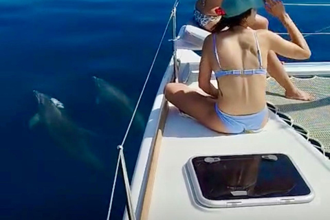Benalmádena: Sailing & Dolphin Watching with Snacks/Drinks 2-hour PRIVATE up to 12 people