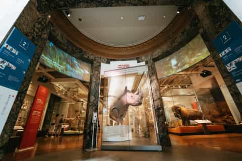 Toronto: Royal Ontario Museum General Admission Voucher