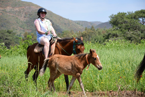 Marmaris: Horseback Riding Tour with Hotel Pickup