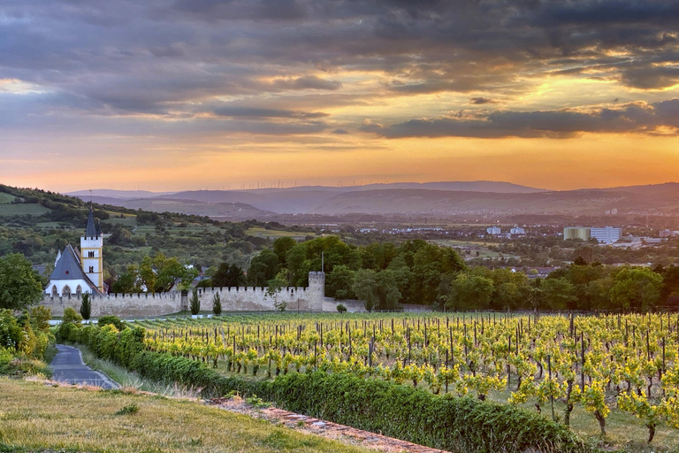 Mainz: Rhine Valley Wine Tasting & Inc Wine Tapas Picnic