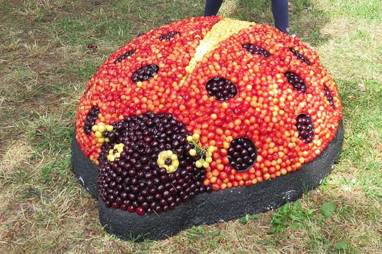 From Sofia: Day Tour to Cherry Festival 2026 in Kyustendil