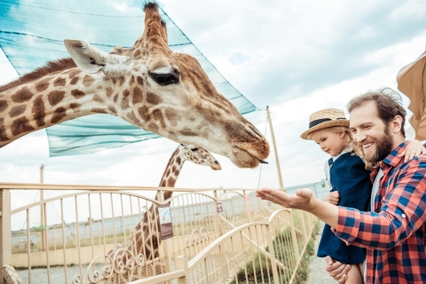 Van Krakau: Zoo Trip met Transfer