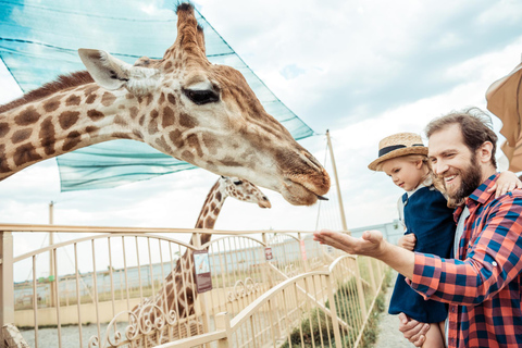 Aus Krakau: Zoo Trip mit Transfer