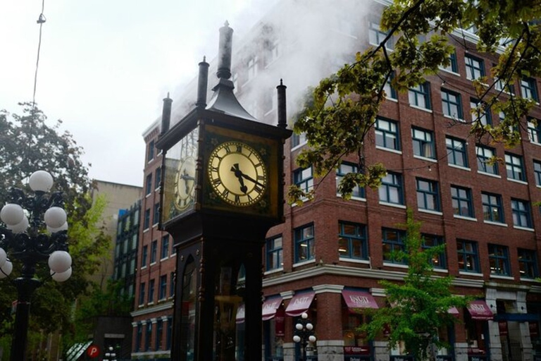 Aventura de observação de baleias em Vancouver com passeio pela cidadeAventura de observação de baleias em Vancouver