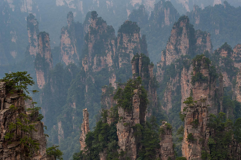 Zhangjiajie: Avatar Mountains Day Tour with Elevator & Cable