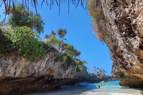 Zanzibar: las Jozani, centrum motyli i wycieczka na plażę MtendeOdbiór z miejsca zakwaterowania nie jest wliczony w cenę.