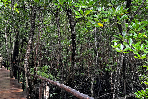 ZANZIBAR: WYCIECZKA PO BŁĘKITNEJ LAGUNIE