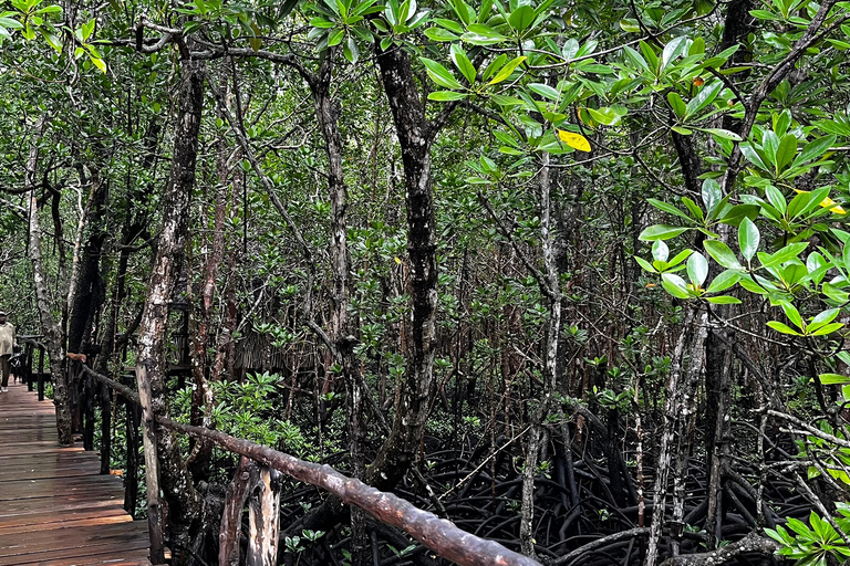 ZANZIBAR: WYCIECZKA PO BŁĘKITNEJ LAGUNIE