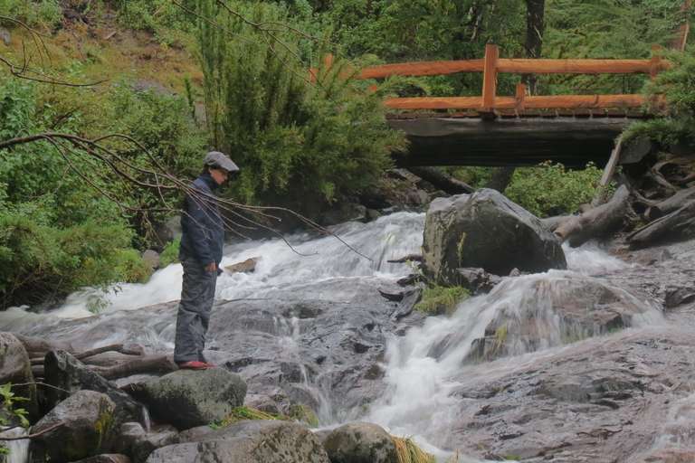 Off-Road and hicking Adventure in San Martin de los Andes Pick Up, Hicking and Snack