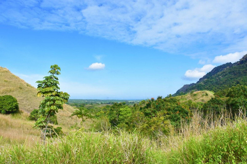 Fidżi: Odkryj Nadi dzięki wycieczce do gorących źródeł Sabeto i basenu błotnegoOdbiór z Fiji Marriott/Queens Wharf Lautoka/Tanoa Waterfront