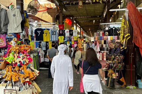 Tour di Dubai con scalo e tour di transito