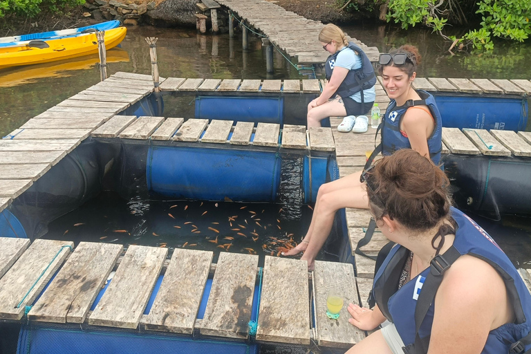 Hikkaduwa: Rathgama Lagoon Kayaking and Fish Therapy Tour