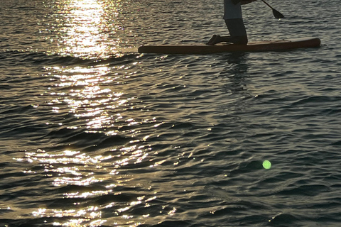 Hammamet: Paddleboarding experience with instructor and gear