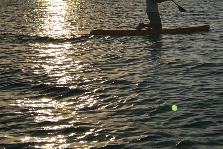 Hammamet: Paddleboarding experience with instructor and gear