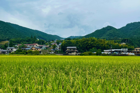 Ella: Rice Terrace Walk with Traditional Meal and Beer