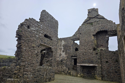 Giants Causeway: Private Causeway Coast Tour with Guide