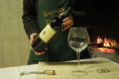 Winery & Vineyard Tour with Guided Tasting near Pisa Wine Tour in English