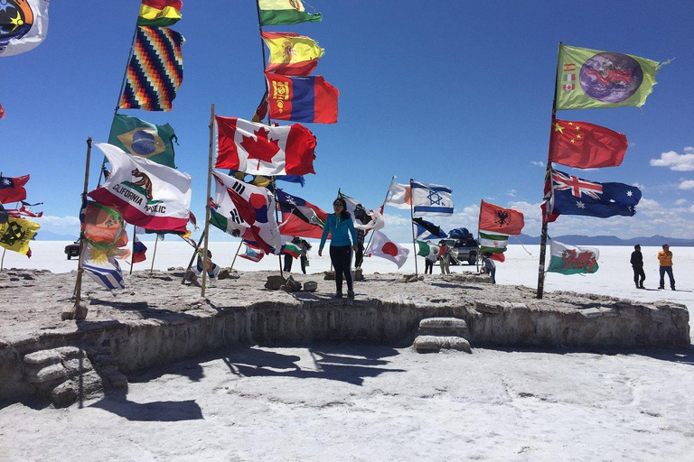 Uyuni: Salar och Incahuasi-ön - Privat tur, 1 dagstur