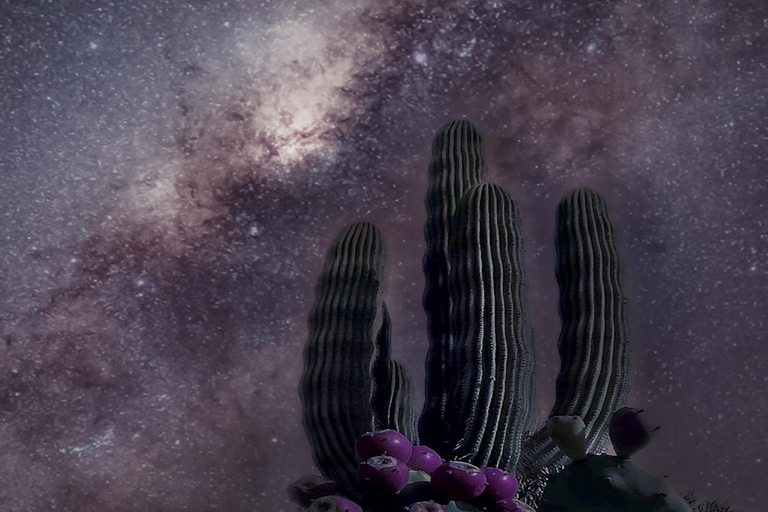 Pustynia Tabernas: Noc gwiazd z teleskopamiTabernas: gwiazdy pustyni (z teleskopem)