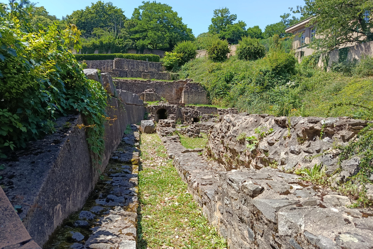 Lugdunum: Lyon, a Roman Colony Lugdunum: Lyon, a Roman colony
