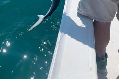 Sarasota Florida: Skyway Fishing ToursBegib dich auf ein aufregendes Abenteuer mit Skyway Fishing Tours