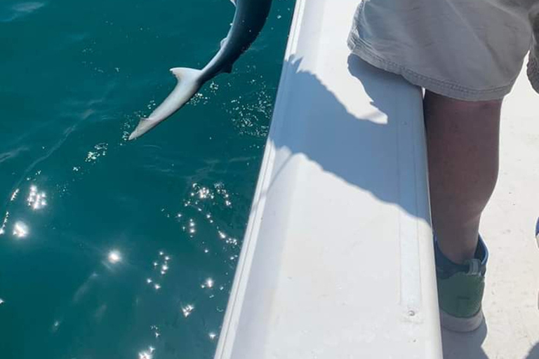 Sarasota Florida: Skyway Fishing ToursBegib dich auf ein aufregendes Abenteuer mit Skyway Fishing Tours