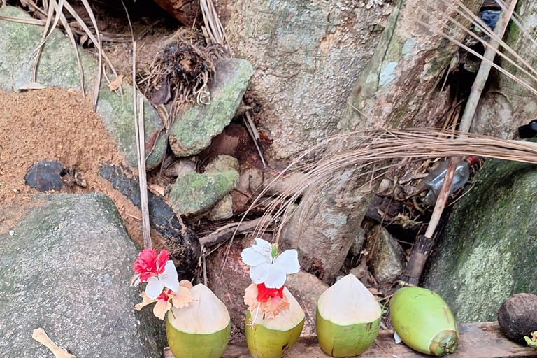 Seychellen: Hoogtepunten Tour langs de iconische plekjes van de eilanden