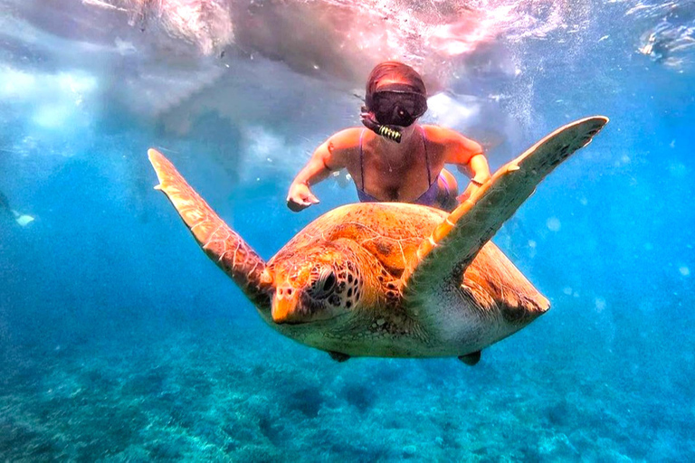 Snorkeling exclusif avec GoPro : Gili Trawangan AdventuresExcursion privée de 4 heures de plongée en apnée avec GoPro