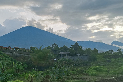 Gili Trawangan Speedboat Transfer from Bangsal Harbor