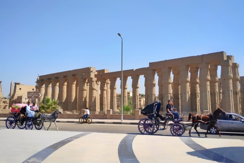 Hurgada: tour a Luxor y el Valle de los Reyes con almuerzoDesde Hurgada: tour privado a Luxor y el Valle de los Reyes
