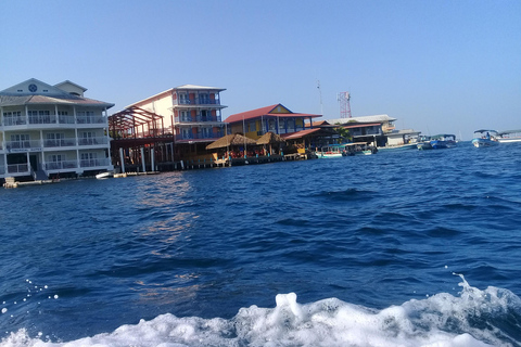 Bocas del Toro: Zapatilla Key, Dolphin Bay, Coral Key