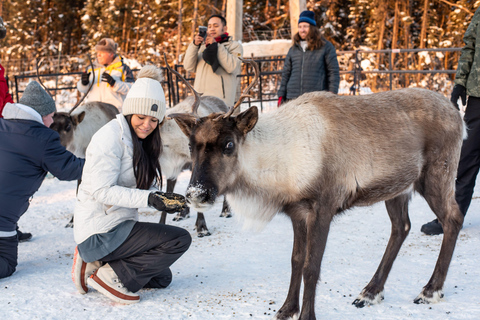 Reindeer and Snowmobile Day Trip to Borealis Basecamp