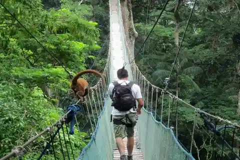 Aventura na selva | Tirolesa, Canopy, Caiaque|
