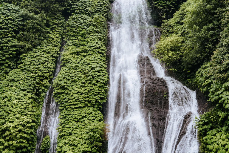 Bali: Private Shore Excursion from Celukan Bawang Port Best Asian Tour Picks – Shared Experiences ( Full Day )