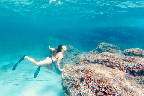 PALMA: Speedboat Tour with snorkeling and Snacks
