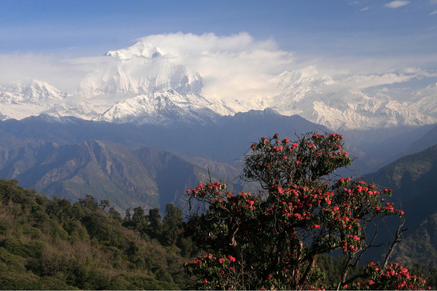 Pokhara: 2-tägiges Abenteuer auf dem Ghorepani Poon Hill