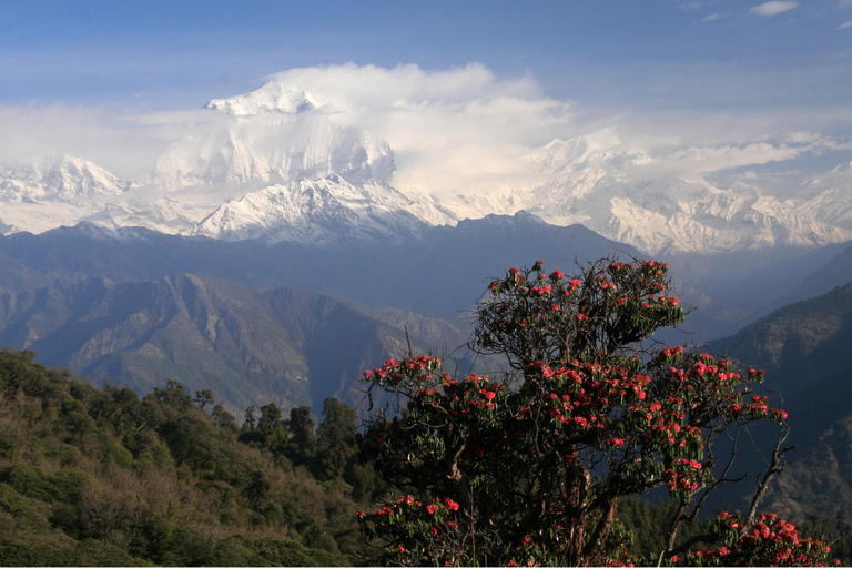 Pokhara: 2-Day Ghorepani Poon Hill Adventure Customize Meal Package