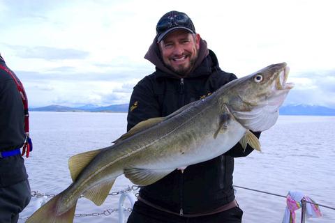 Safari en mer à Tromsø