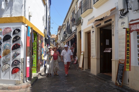 Córdoba: Visita Monumental Privada de 3 HorasCórdoba 3 Horas Tour Privado en Francés