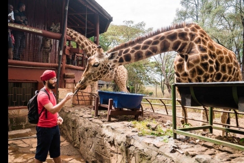 Giraffe Center und Karen Blixen Museum Tour ab Nairobi