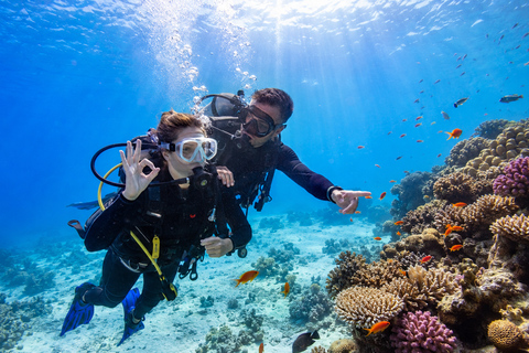 Marsa Alam: Shore Dive Experience w Transfer Beginners: 30 mins