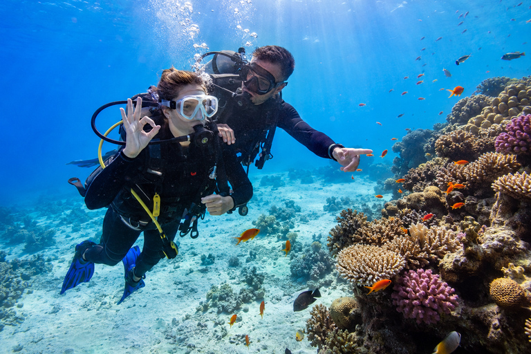 Marsa Alam: Shore Dive Experience w Transfer Beginners: 30 mins