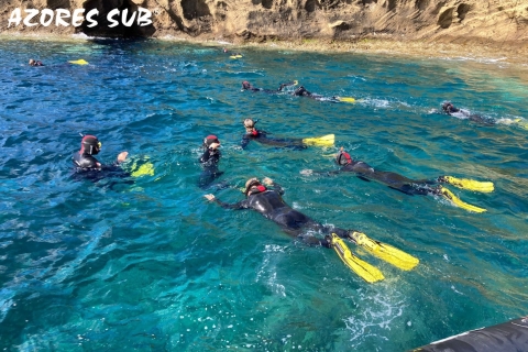 São Miguel: Snorkeling en Vila Franca do CampoSnorkel matutino