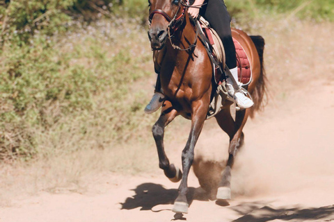 Side: Horseback Riding Adventure with Hotel Pickup