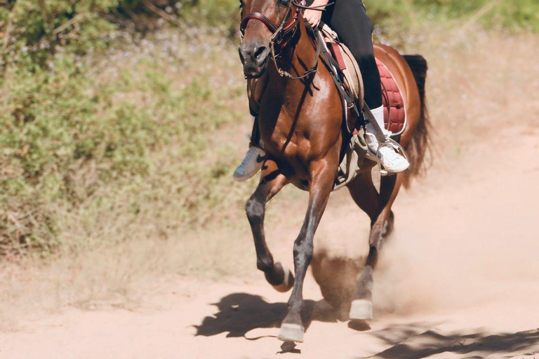 Side: Horseback Riding Adventure with Hotel Pickup