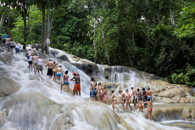 Falmouth: Bamboo Beach Club &amp; Dunn&#039;s River FallsPickup in Falmouth Cruise Ship Terminal