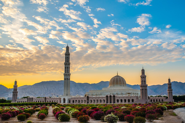 Muscat: City Highlights Tour with Optional Transfers