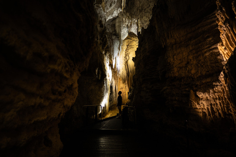 RUAKURI CAVE &amp; HAMILTON GARDENS-PRIVATE TOUR FROM AUCKLAND