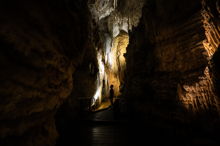 RUAKURI CAVE &amp; HAMILTON GARDENS-PRIVATE TOUR FROM AUCKLAND