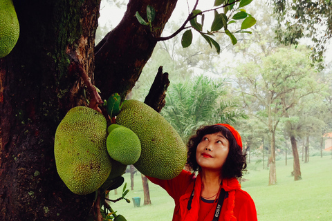 1 Day Kampala city tour Uganda